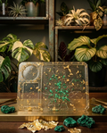 Limpid Tray